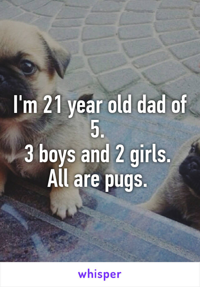 I'm 21 year old dad of 5. 
3 boys and 2 girls. 
All are pugs. 