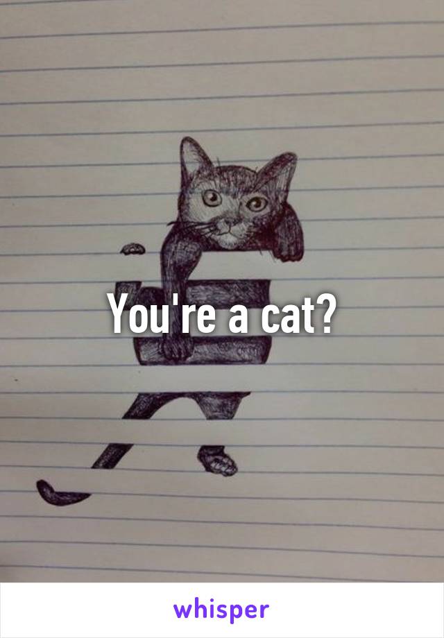 You're a cat?