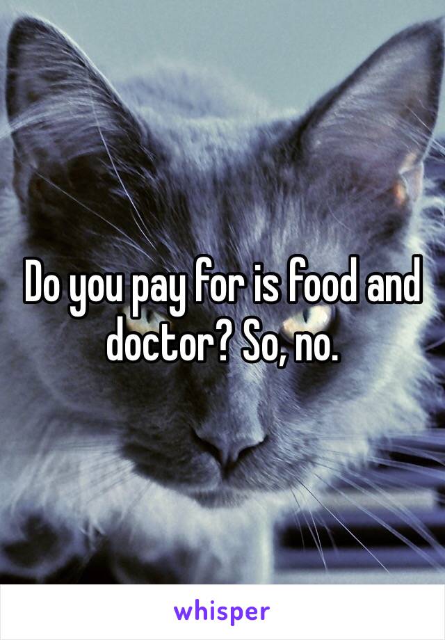 Do you pay for is food and doctor? So, no.