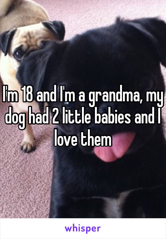 I'm 18 and I'm a grandma, my dog had 2 little babies and I love them