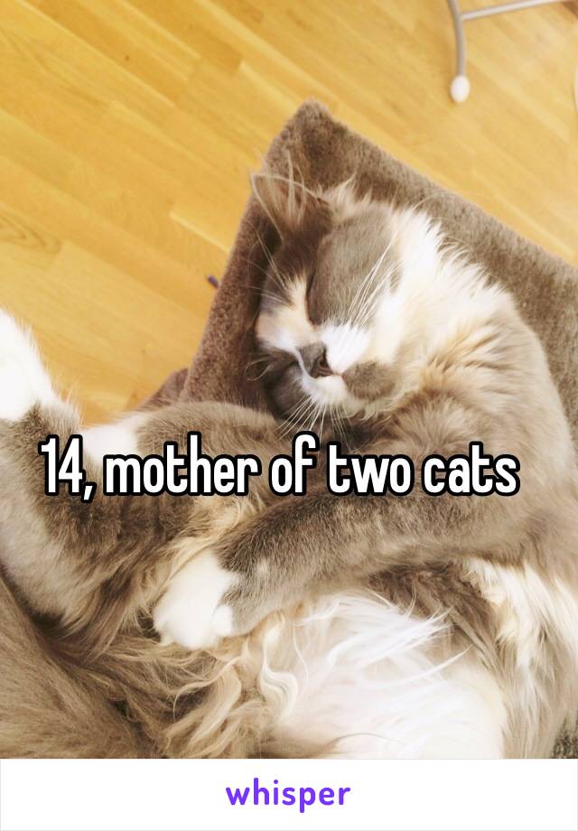 14, mother of two cats