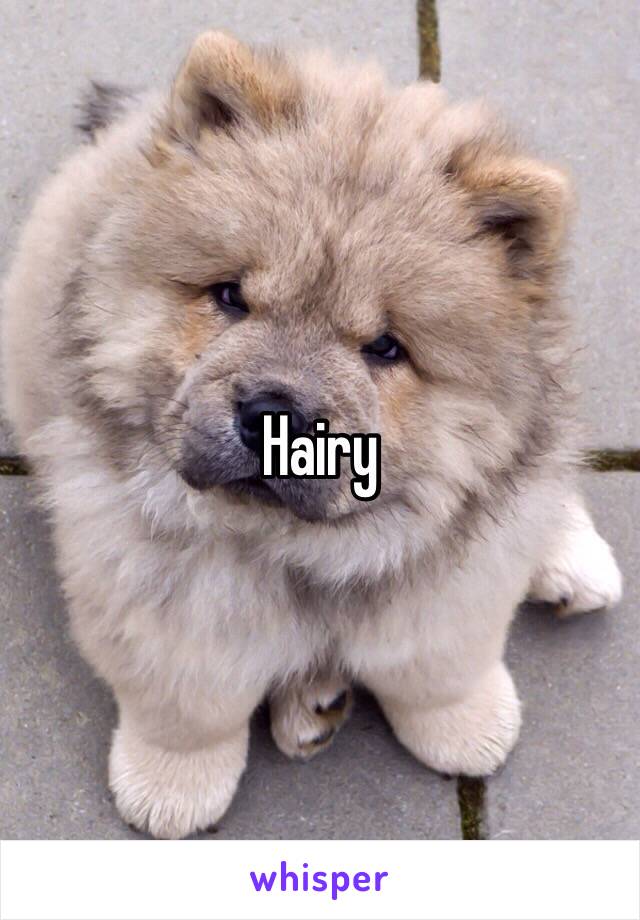 Hairy 