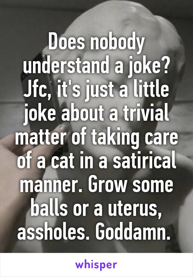 Does nobody understand a joke? Jfc, it's just a little joke about a trivial matter of taking care of a cat in a satirical manner. Grow some balls or a uterus, assholes. Goddamn. 