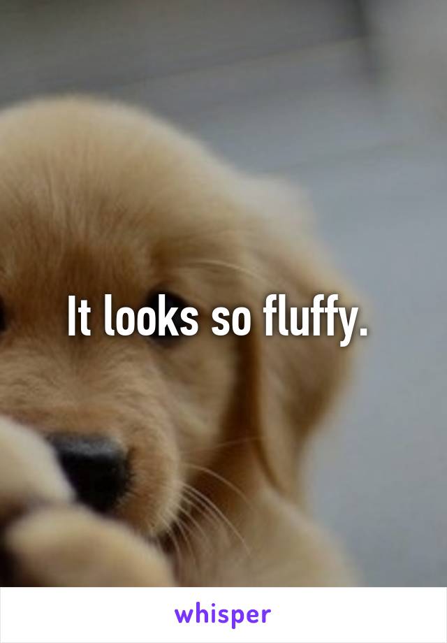 It looks so fluffy. 