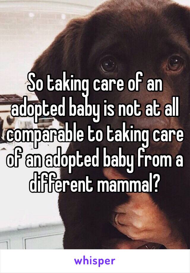 So taking care of an adopted baby is not at all comparable to taking care of an adopted baby from a different mammal? 