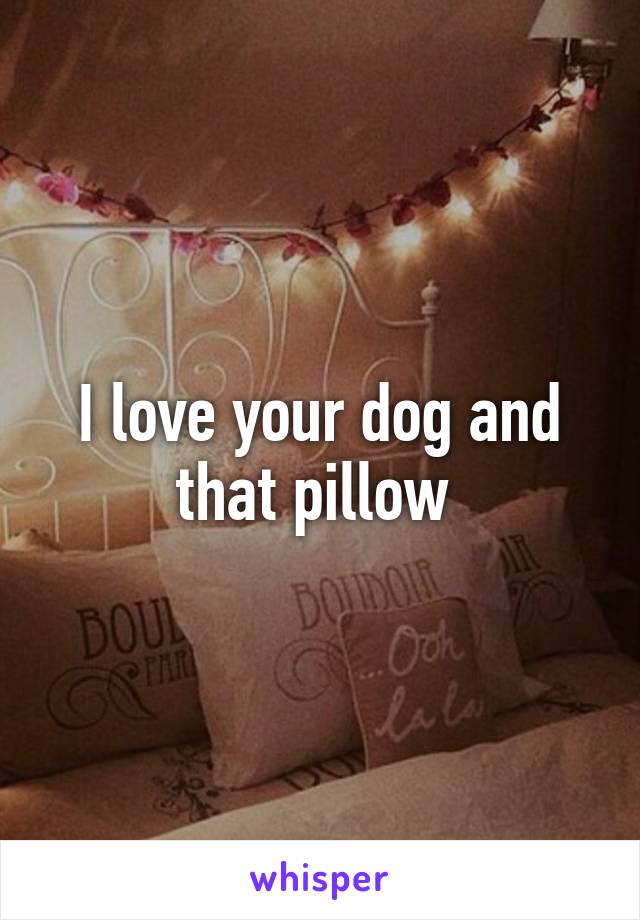 I love your dog and that pillow 