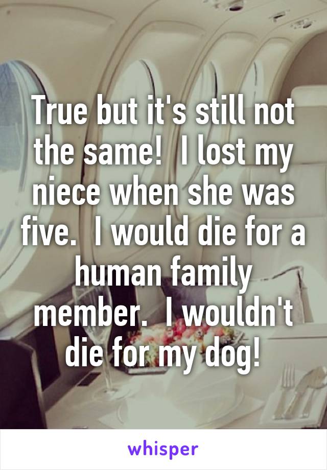 True but it's still not the same!  I lost my niece when she was five.  I would die for a human family member.  I wouldn't die for my dog!