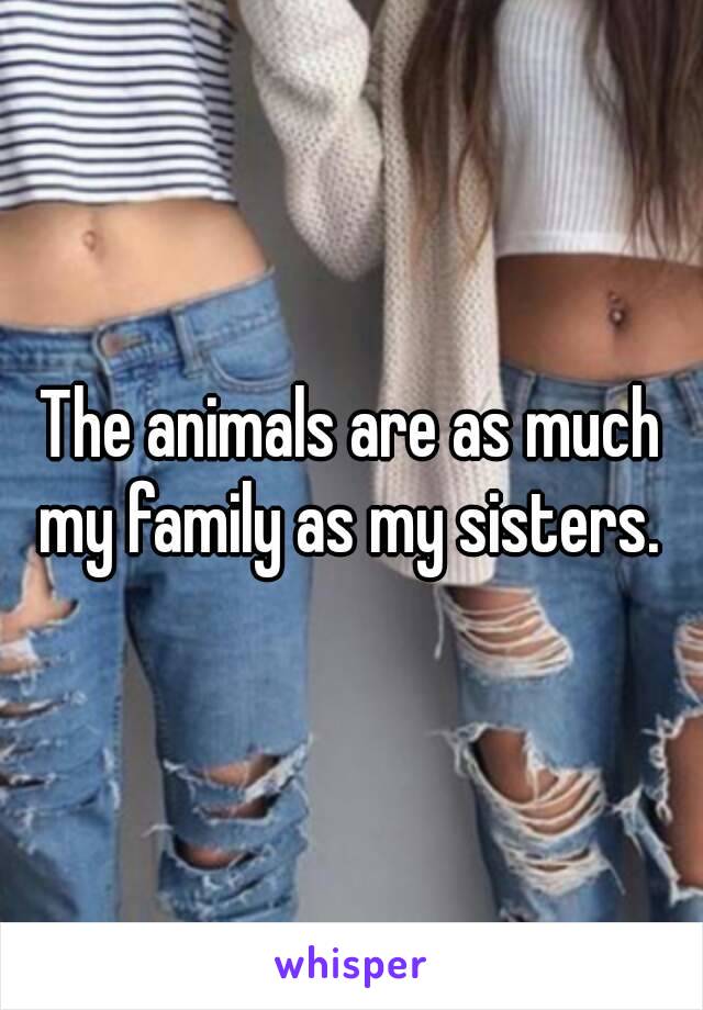 The animals are as much my family as my sisters. 