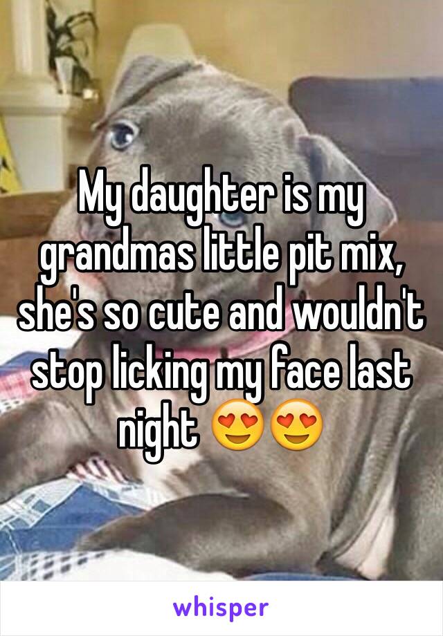 My daughter is my grandmas little pit mix, she's so cute and wouldn't stop licking my face last night 😍😍