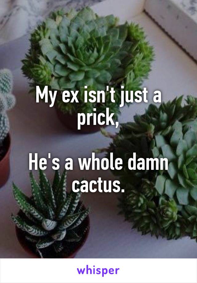 My ex isn't just a prick,

He's a whole damn cactus.