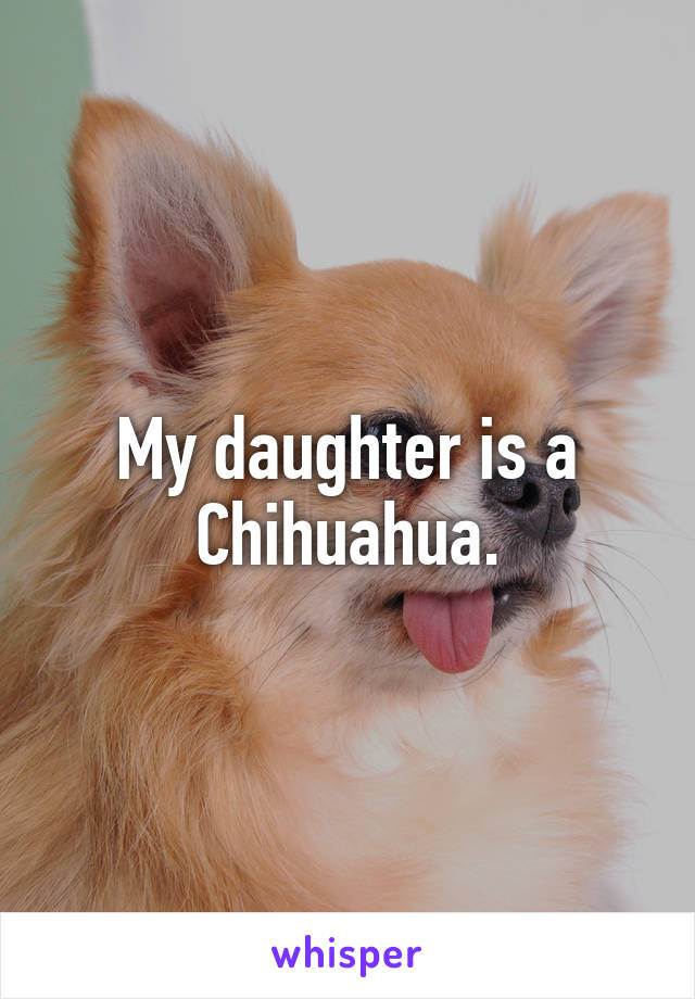 My daughter is a Chihuahua.