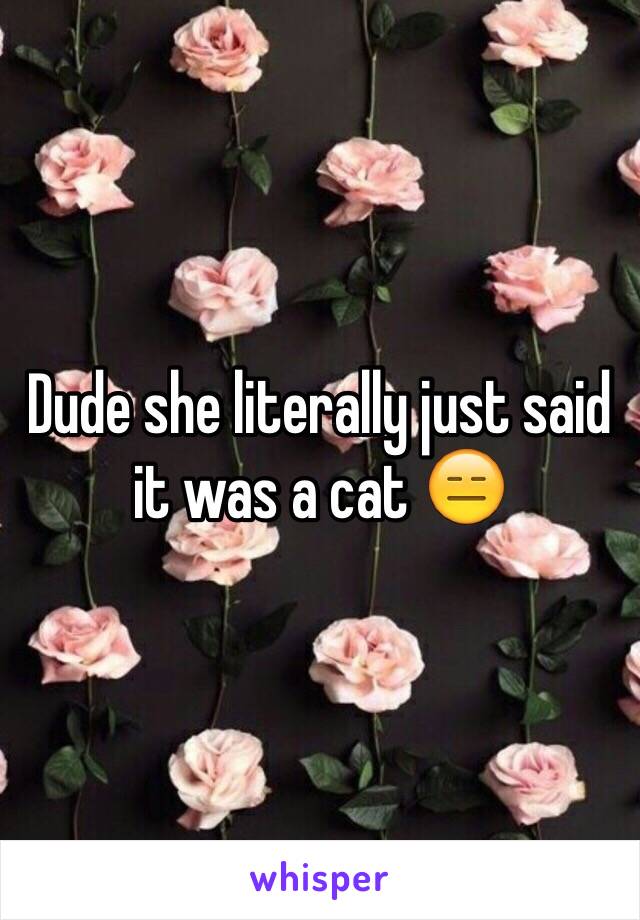 Dude she literally just said it was a cat 😑