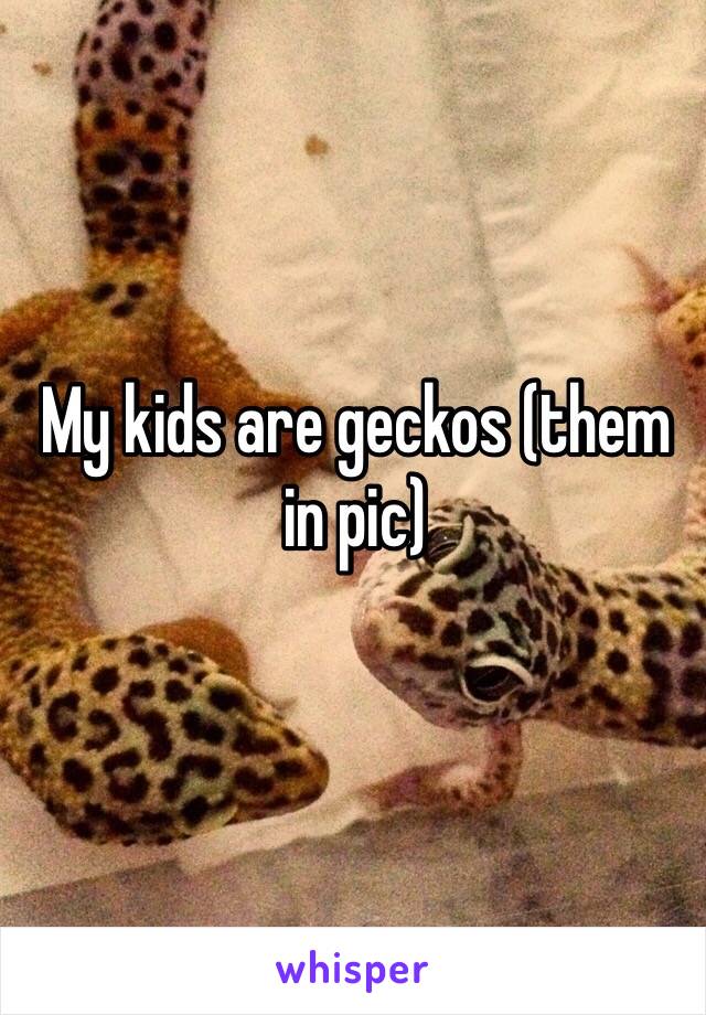 My kids are geckos (them in pic) 