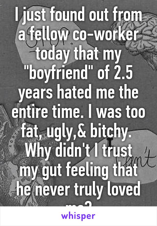 I just found out from a fellow co-worker today that my "boyfriend" of 2.5 years hated me the entire time. I was too fat, ugly,& bitchy. 
Why didn't I trust my gut feeling that he never truly loved me?