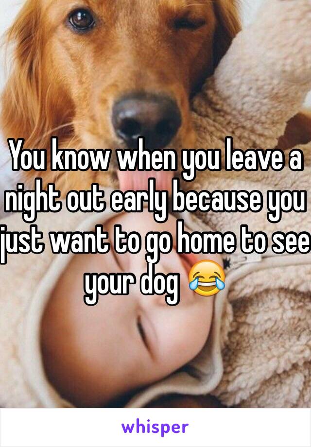 You know when you leave a night out early because you just want to go home to see your dog 😂