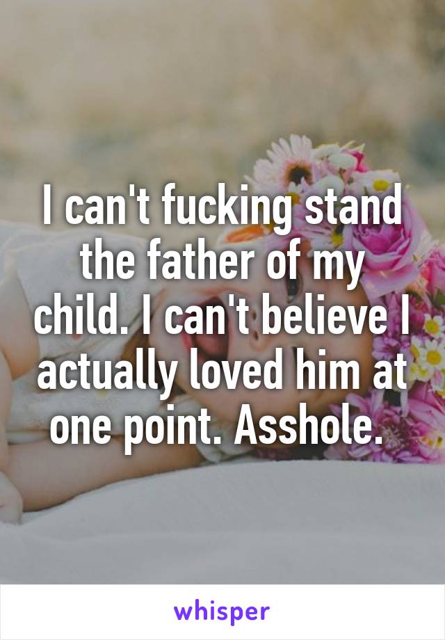 I can't fucking stand the father of my child. I can't believe I actually loved him at one point. Asshole. 