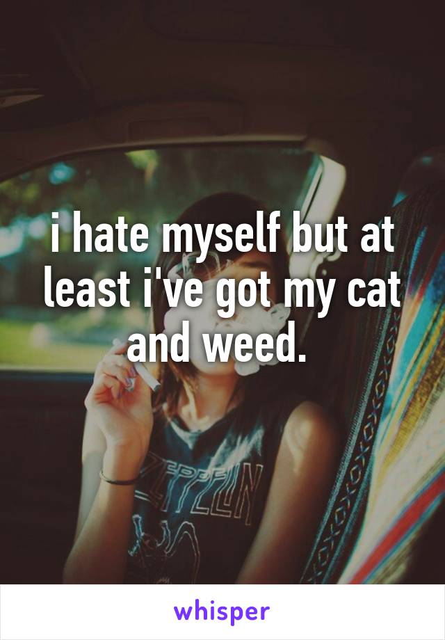 i hate myself but at least i've got my cat and weed. 
