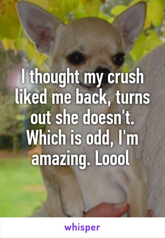 I thought my crush liked me back, turns out she doesn't. Which is odd, I'm amazing. Loool 