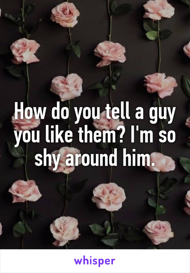 How do you tell a guy you like them? I'm so shy around him.