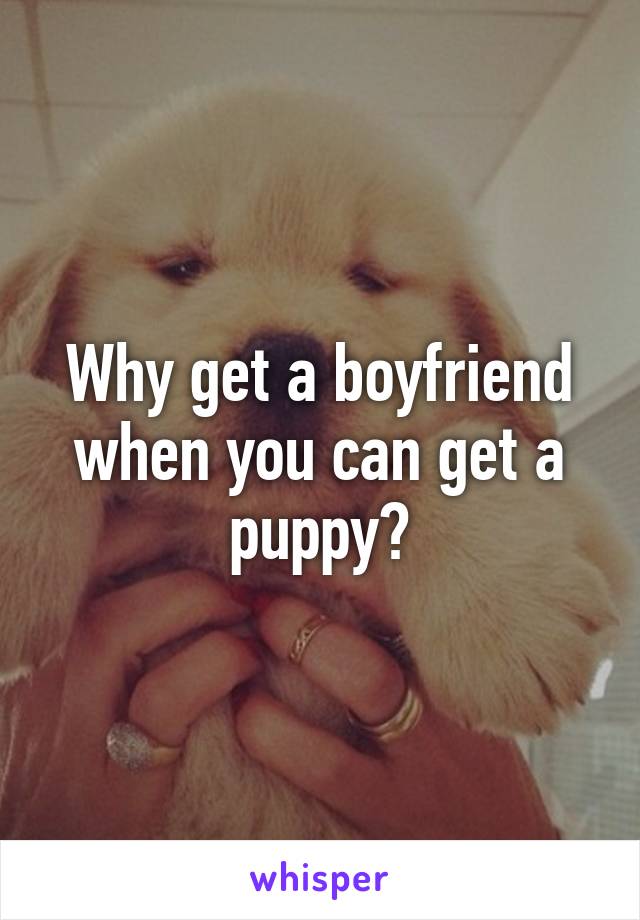 Why get a boyfriend when you can get a puppy?