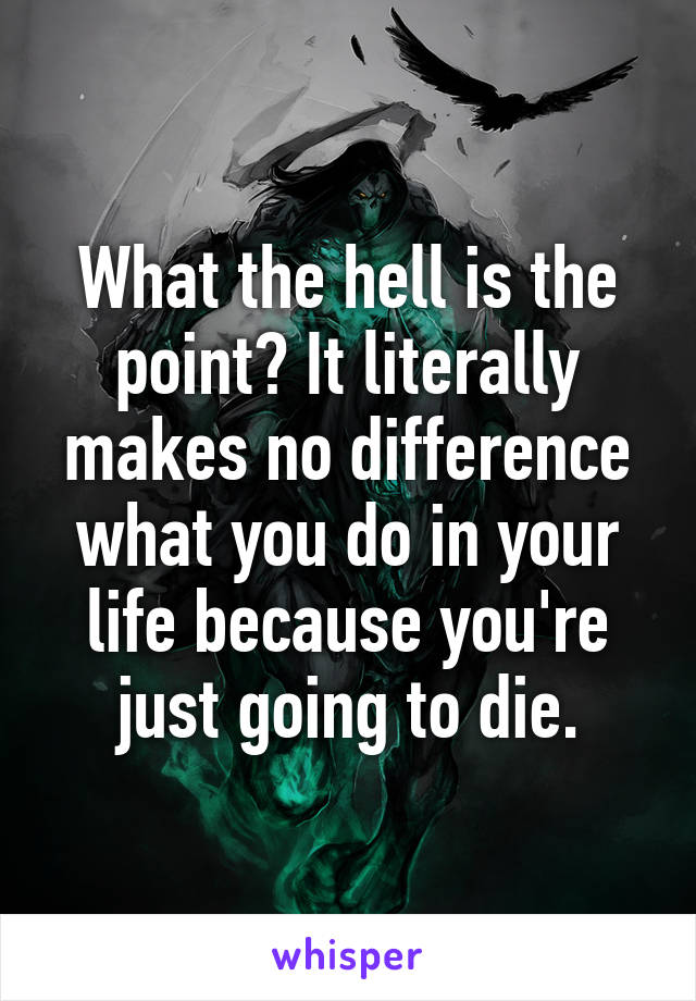 What the hell is the point? It literally makes no difference what you do in your life because you're just going to die.