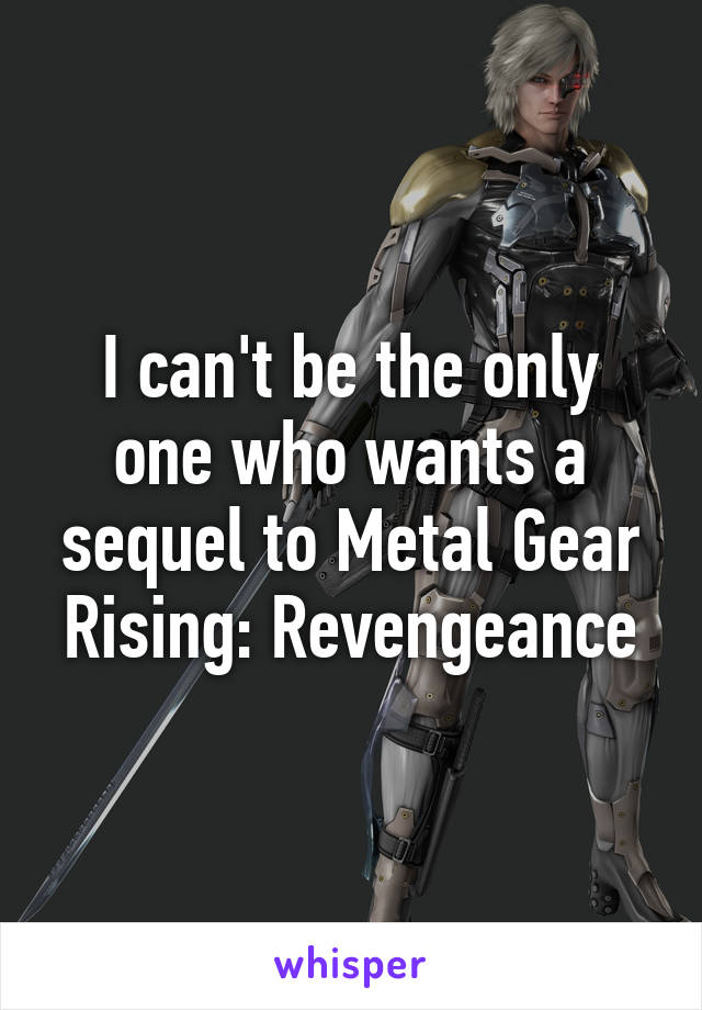 I can't be the only one who wants a sequel to Metal Gear Rising: Revengeance