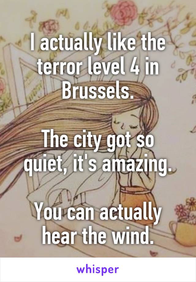 I actually like the terror level 4 in Brussels.

The city got so quiet, it's amazing.

You can actually hear the wind.