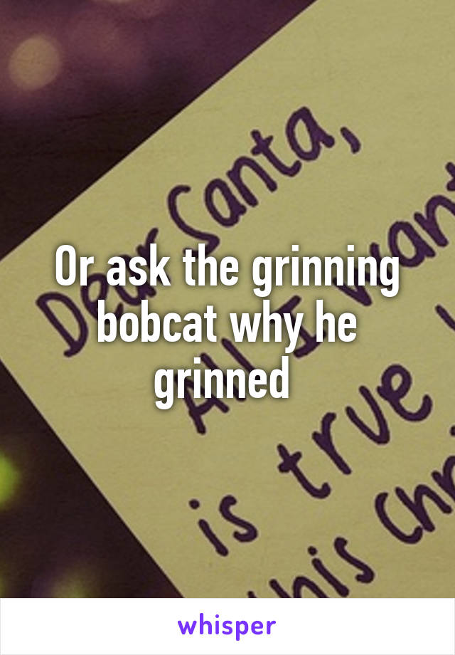 Or ask the grinning bobcat why he grinned 