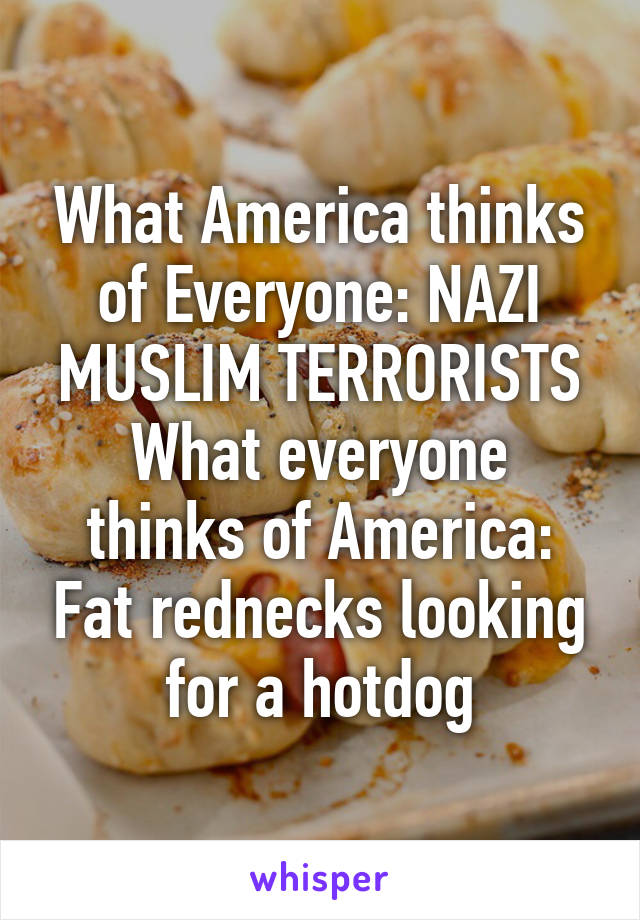 What America thinks of Everyone: NAZI MUSLIM TERRORISTS
What everyone thinks of America: Fat rednecks looking for a hotdog