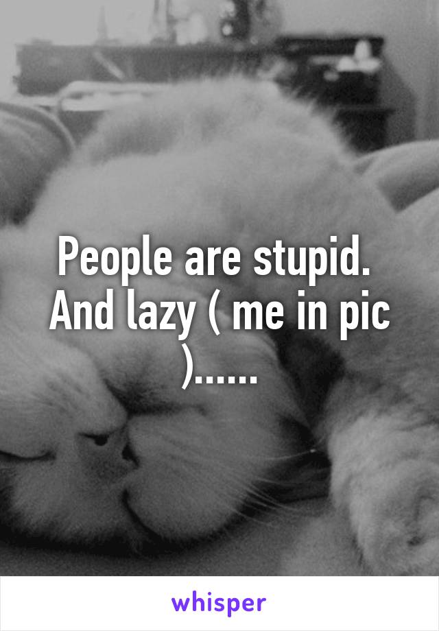 People are stupid.  And lazy ( me in pic )......