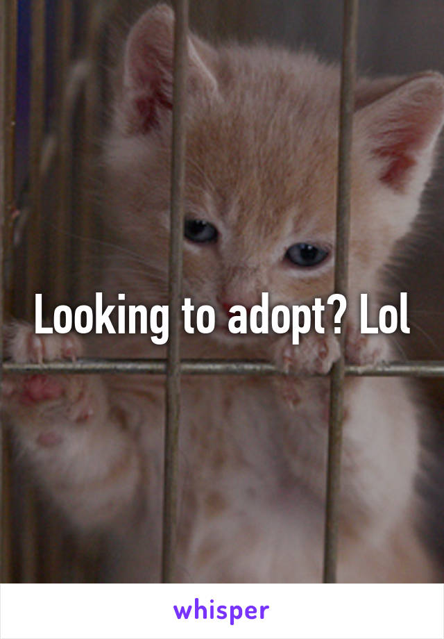 Looking to adopt? Lol