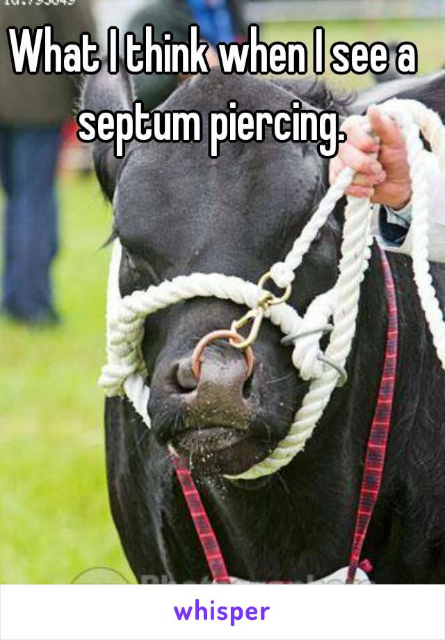 What I think when I see a septum piercing. 