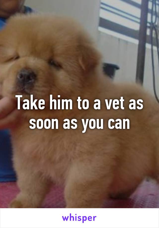 Take him to a vet as soon as you can