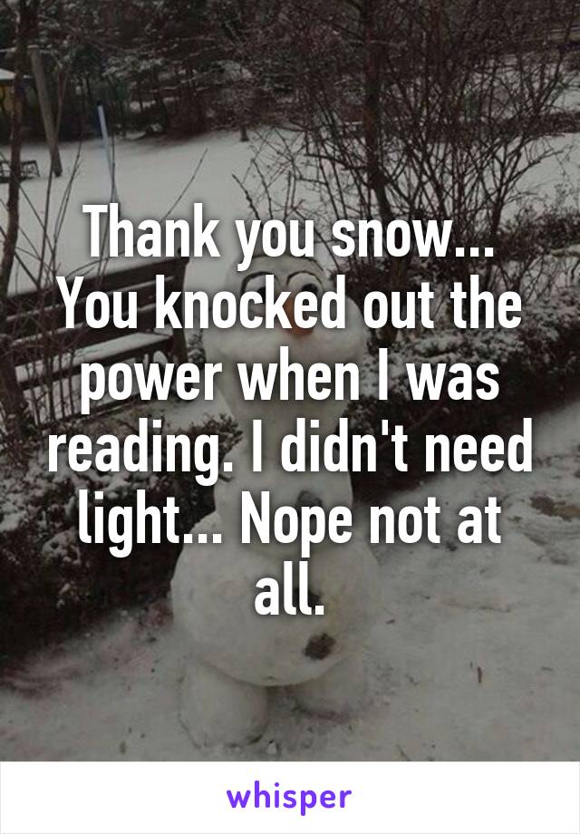 Thank you snow... You knocked out the power when I was reading. I didn't need light... Nope not at all.