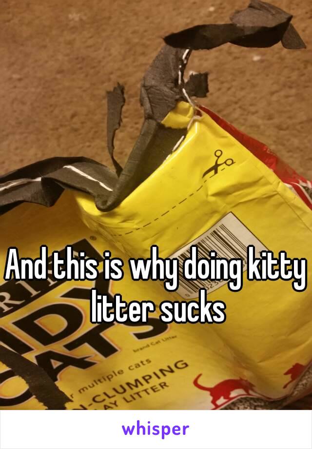 And this is why doing kitty litter sucks