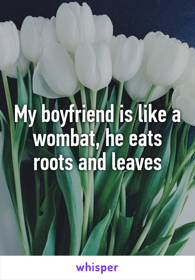 My boyfriend is like a wombat, he eats roots and leaves