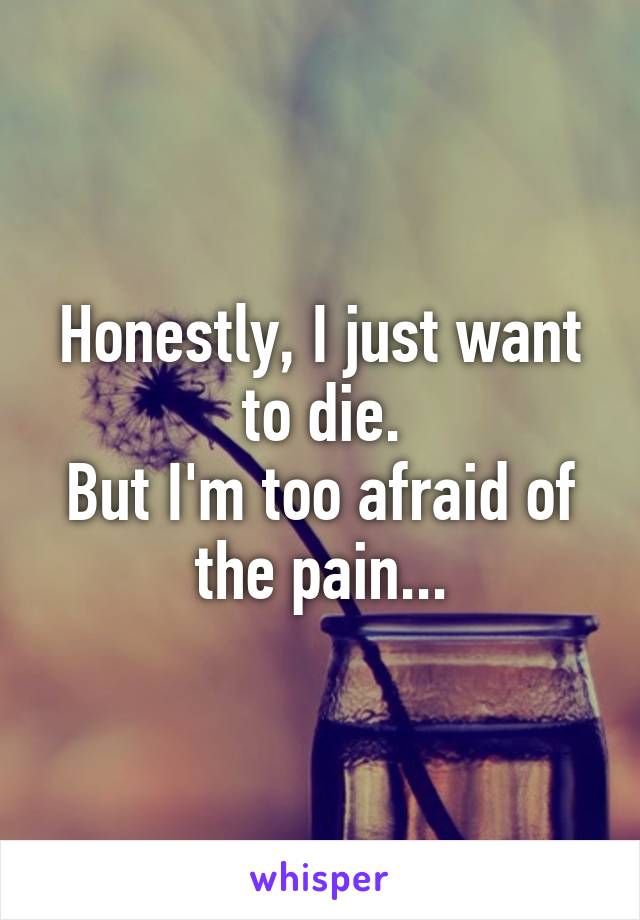 Honestly, I just want to die.
But I'm too afraid of the pain...