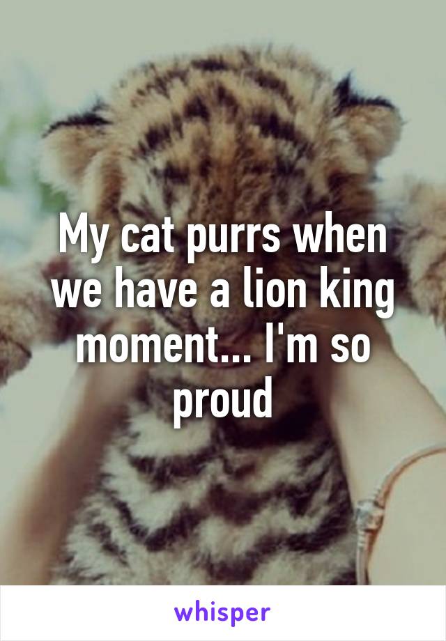 My cat purrs when we have a lion king moment... I'm so proud