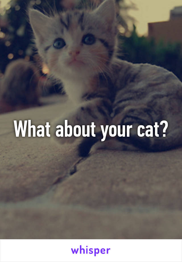 What about your cat?