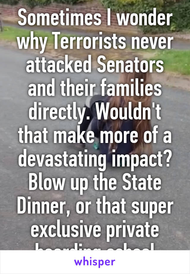 Sometimes I wonder why Terrorists never attacked Senators and their families directly. Wouldn't that make more of a devastating impact? Blow up the State Dinner, or that super exclusive private boarding school