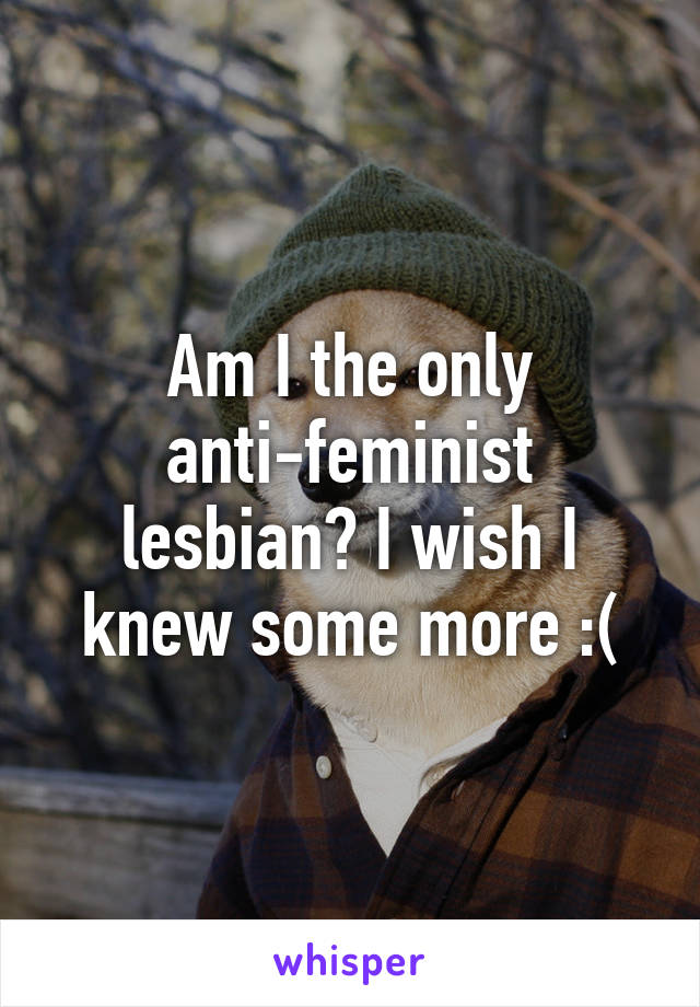 Am I the only anti-feminist lesbian? I wish I knew some more :(