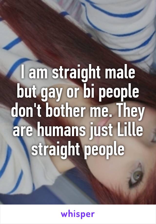 I am straight male but gay or bi people don't bother me. They are humans just Lille straight people