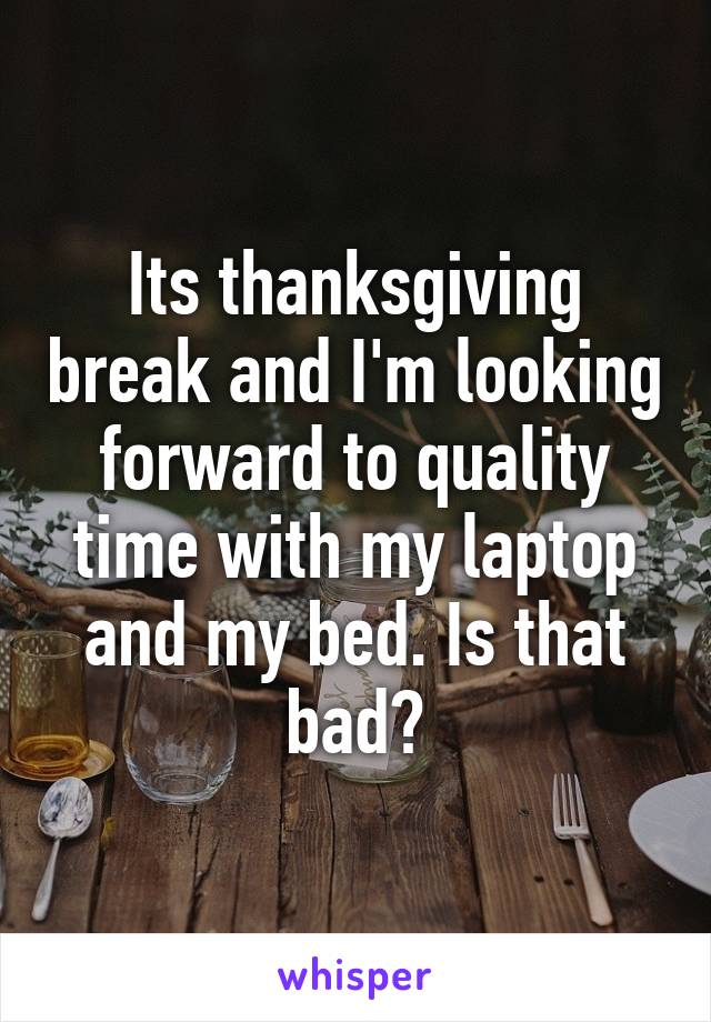 Its thanksgiving break and I'm looking forward to quality time with my laptop and my bed. Is that bad?