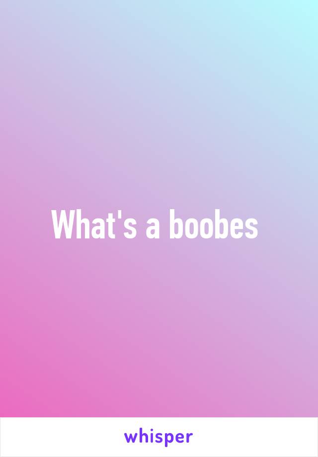 What's a boobes 