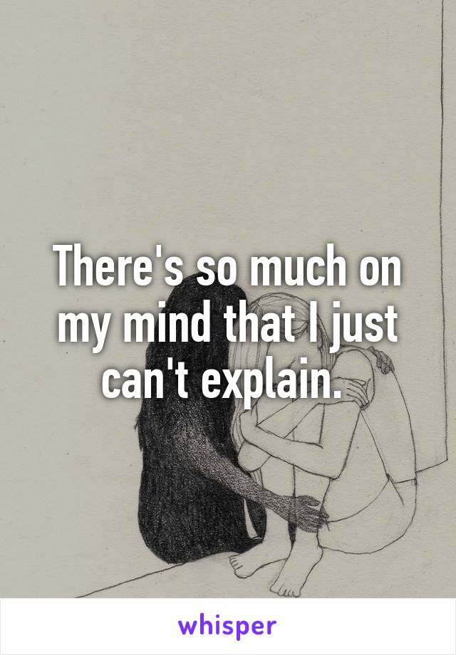 There's so much on my mind that I just can't explain. 
