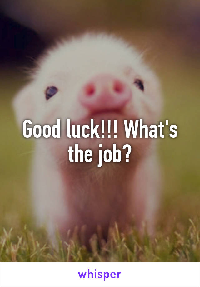 Good luck!!! What's the job?