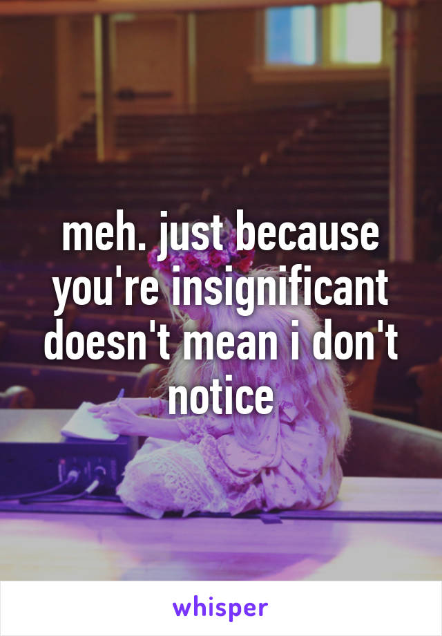 meh. just because you're insignificant doesn't mean i don't notice