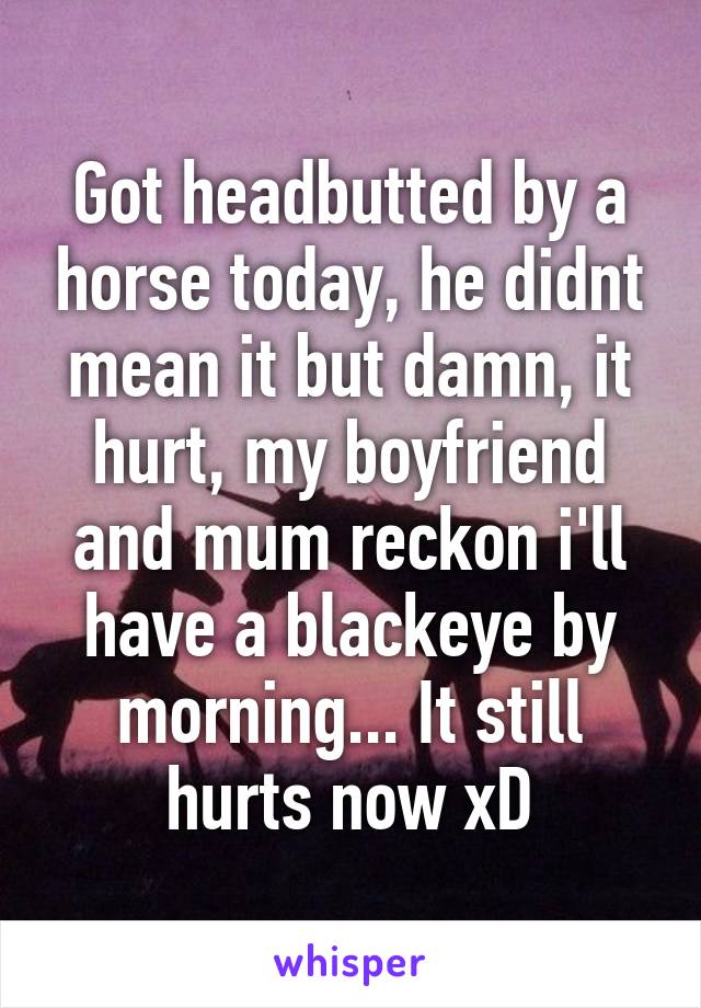 Got headbutted by a horse today, he didnt mean it but damn, it hurt, my boyfriend and mum reckon i'll have a blackeye by morning... It still hurts now xD