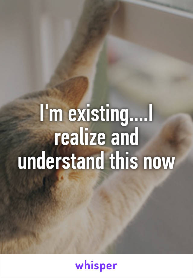I'm existing....I realize and understand this now