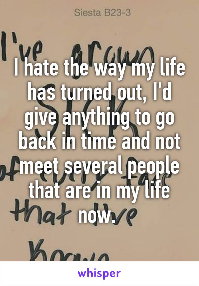 I hate the way my life has turned out, I'd give anything to go back in time and not meet several people that are in my life now. 